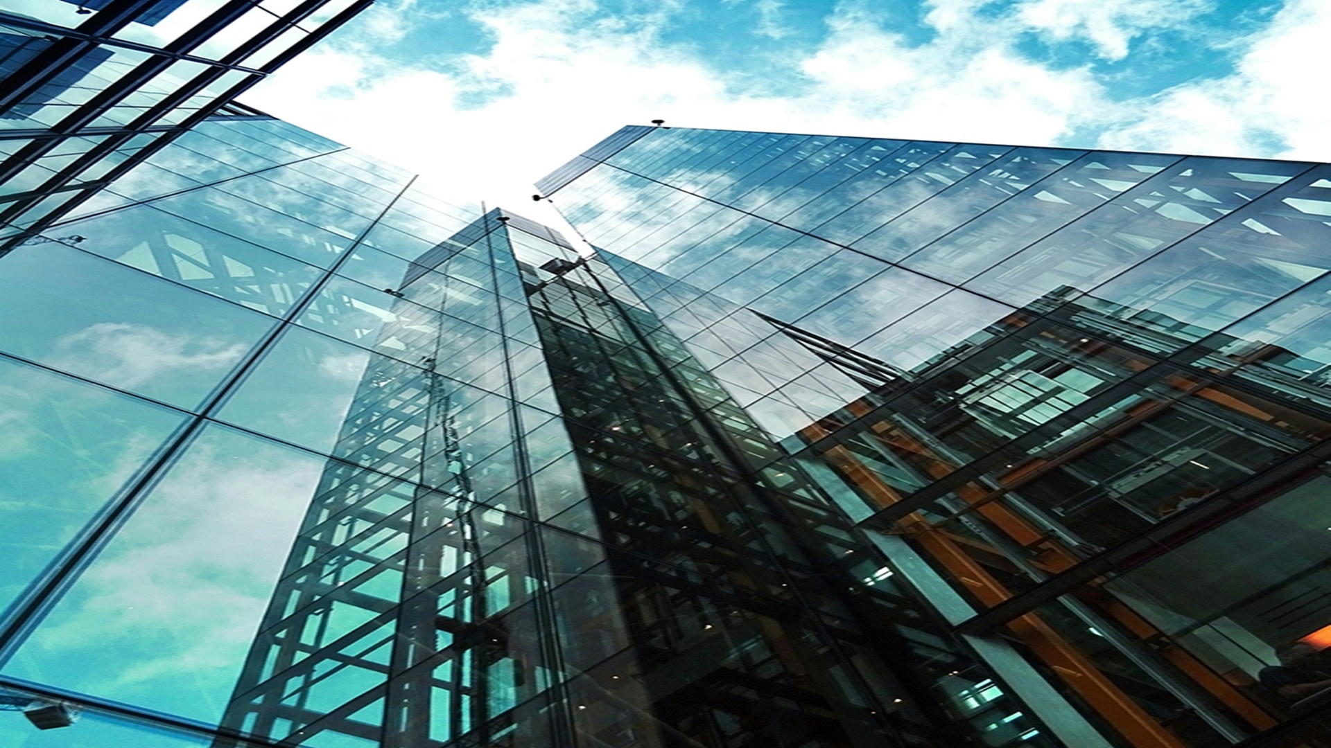 브레인시티 비스타동원